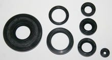 Lataa kuva Galleria-katseluun, Economy Engine Oil Seal Kit (01-0157)