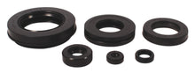 Lataa kuva Galleria-katseluun, Engine Oil Seal Kit (01-9034)