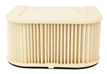 Load image into Gallery viewer, Air Filter (15-0097)