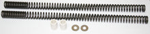 Load image into Gallery viewer, Progressive Front Fork Springs (27-1078)