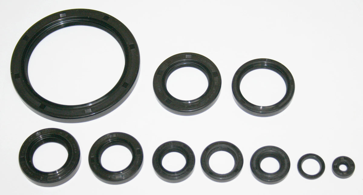 Honda CX500 GL500 Engine Oil Seal Kit