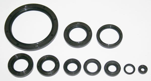 Honda CX500 GL500 Engine Oil Seal Kit