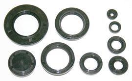 Engine Oil Seal Kit (01-0149)