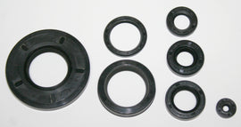 Economy Engine Oil Seal Kit (01-0150)