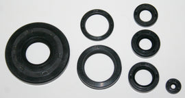 Economy Engine Oil Seal Kit (01-0157)