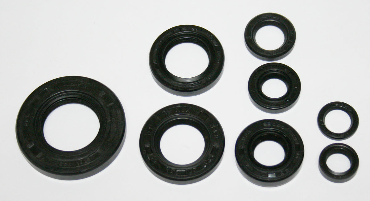 Honda XL600R XR600R Economy Engine Oil Seal Kit 91201-965-000