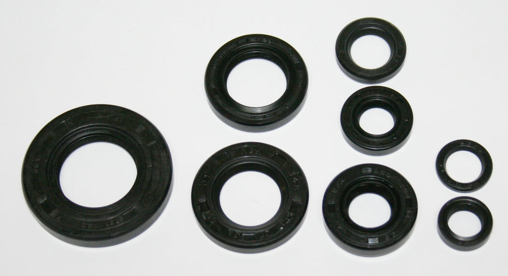 Economy Engine Oil Seal Kit (01-0163)