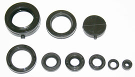 Engine Oil Seal Kit (01-9000)