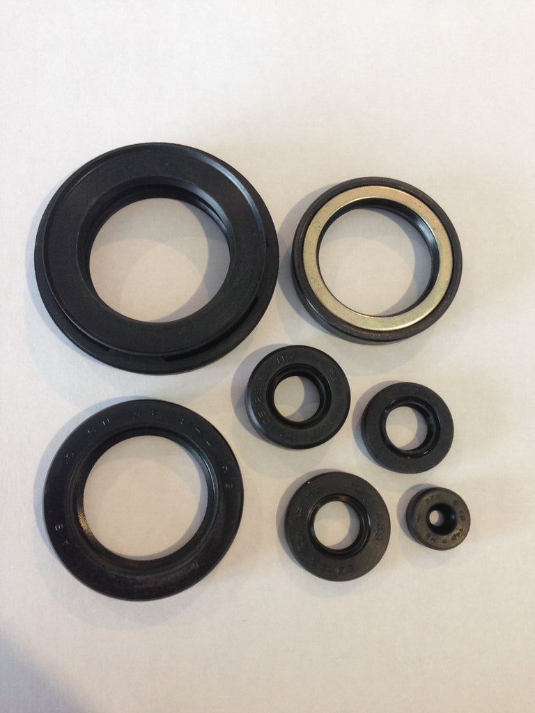 Engine Oil Seal Kit (01-9003)