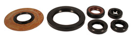 Engine Oil Seal Kit (01-9006)