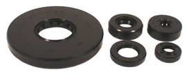 Engine Oil Seal Kit (01-9016)