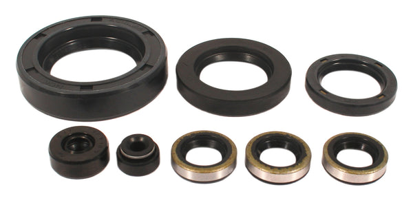 Kawasaki KZ1000 KZ900 Z1 Engine Oil Seal Kit