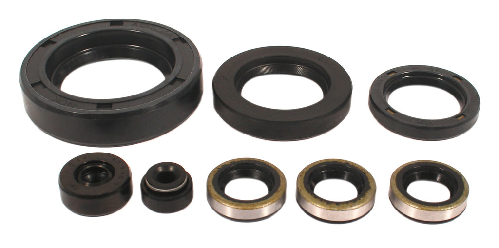 Engine Oil Seal Kit (01-9020)