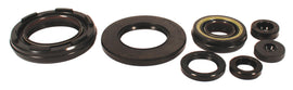 Engine Oil Seal Kit (01-9022)