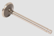 Load image into Gallery viewer, Exhaust Valve (01-9923)