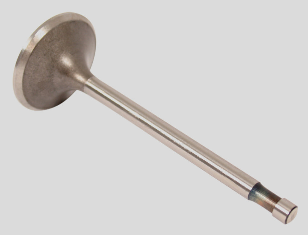 Intake Valve (01-9950)