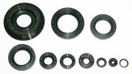 Engine Oil Seal Kit (02-1234)