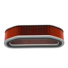 Load image into Gallery viewer, Air Filter (15-0060)