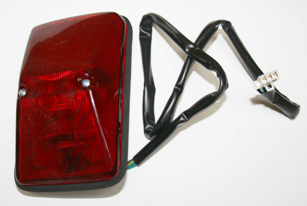 Tail Light Assembly (10-0029)