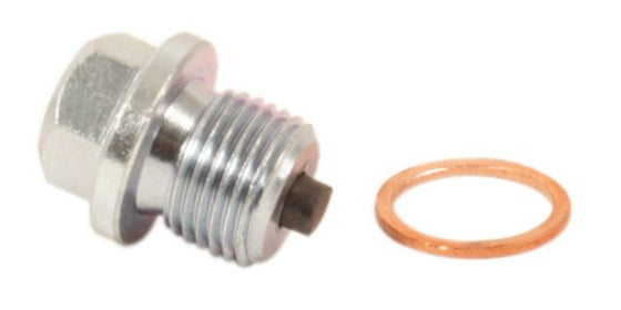 Suzuki RM250 Oil drain plug — 14 mm