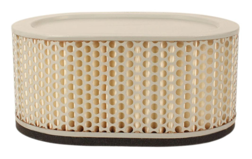 Air Filter (15-0145)