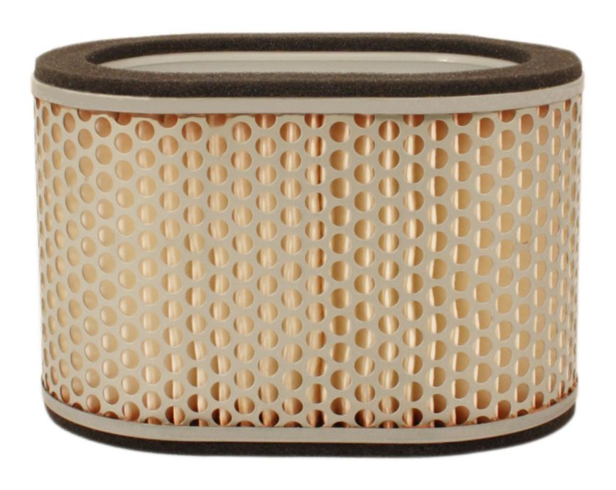 Suzuki TL1000S Air Filter 13780-02F00