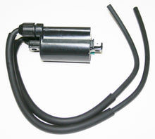 Load image into Gallery viewer, Ignition Coil (17-6904)