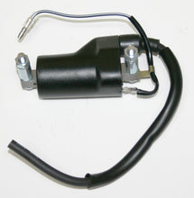 Load image into Gallery viewer, Ignition Coil (17-6920)