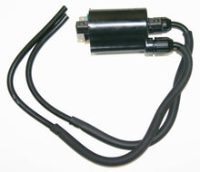 Load image into Gallery viewer, Ignition Coil (17-6921)