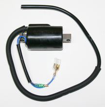 Load image into Gallery viewer, Ignition Coil (17-6923)