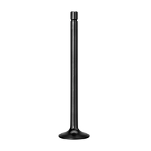 Load image into Gallery viewer, Exhaust Valve (01-9933)