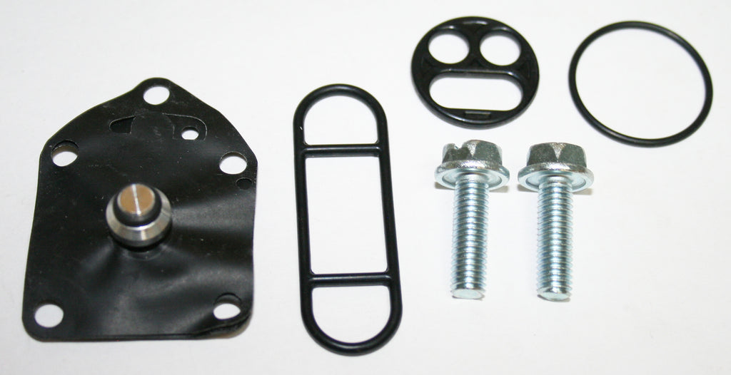 Petcock Repair Kit (20-0074)