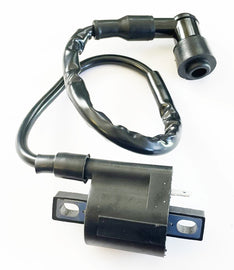 Ignition Coil with Cap (24-2197)