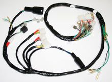 Ladda upp bild till gallerivisning, Wire Harness (24-4006)