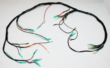 Ladda upp bild till gallerivisning, Wire Harness (24-4029)