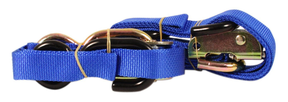 Universal Tie Down Set Blue