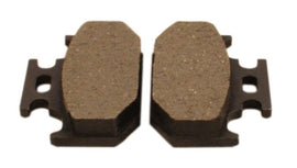 Rear Friction Pads (29-3579)