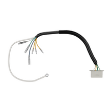 Load image into Gallery viewer, Alternator Stator Wire Harness (24-4021)