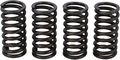 Honda CB750F Clutch Spring Set