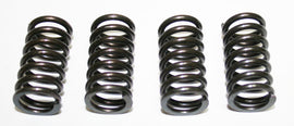 Clutch Spring Set (39-1050)