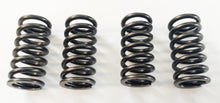 Lataa kuva Galleria-katseluun, Clutch Spring Kit (39-1093)