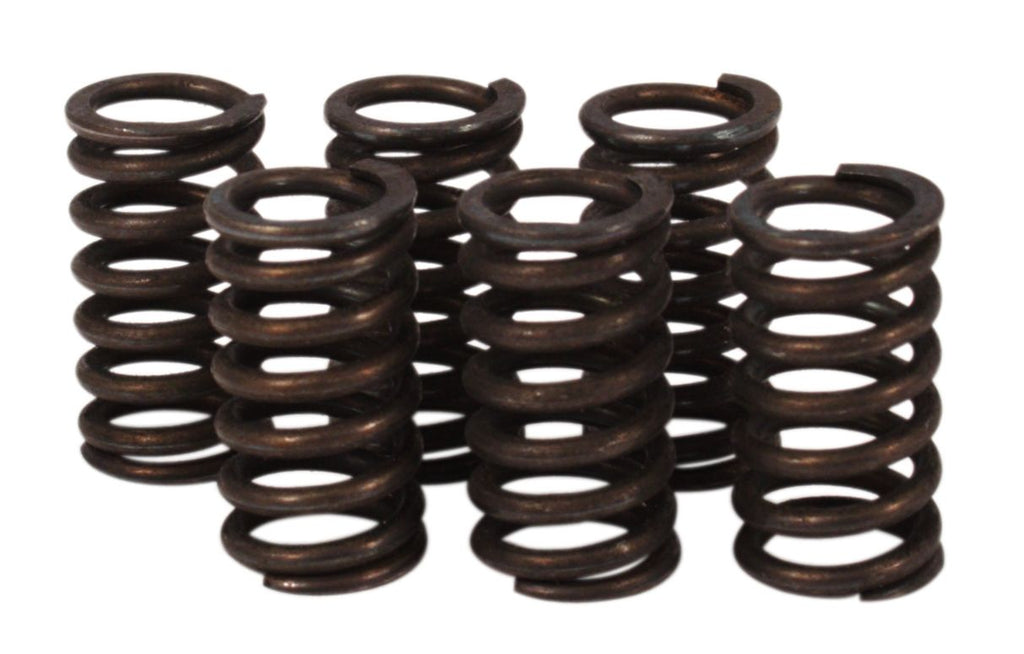 Clutch Spring Kit (39-1501)