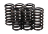 Honda CB550 CB650 CB900 GL1000 Clutch Spring Kit