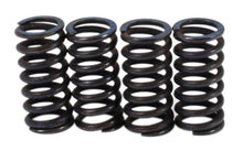 画像をギャラリービューアに読み込む, Clutch Spring Kit (39-1503)