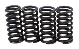 Clutch Spring Kit (39-1503)