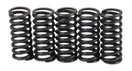 Clutch Spring Kit (39-1505)