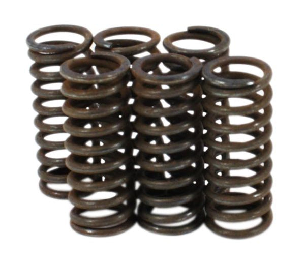 Yamaha YZ250F YZF600R Clutch Spring Kit