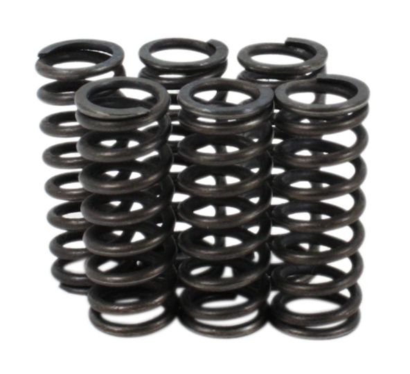 Clutch Spring Kit (39-1508)