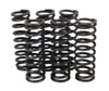 Yamaha FZ600 FZ700 FZ750 FTS1000 Clutch Spring Kit