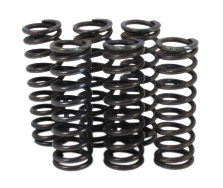 Yamaha FZ600 FZ700 FZ750 FTS1000 Clutch Spring Kit